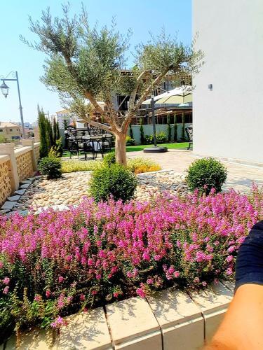 שתילת פרחים וצמחיה